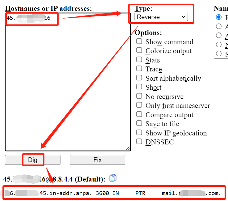 How to use Dig web interface to check reverse DNS (PTR record)